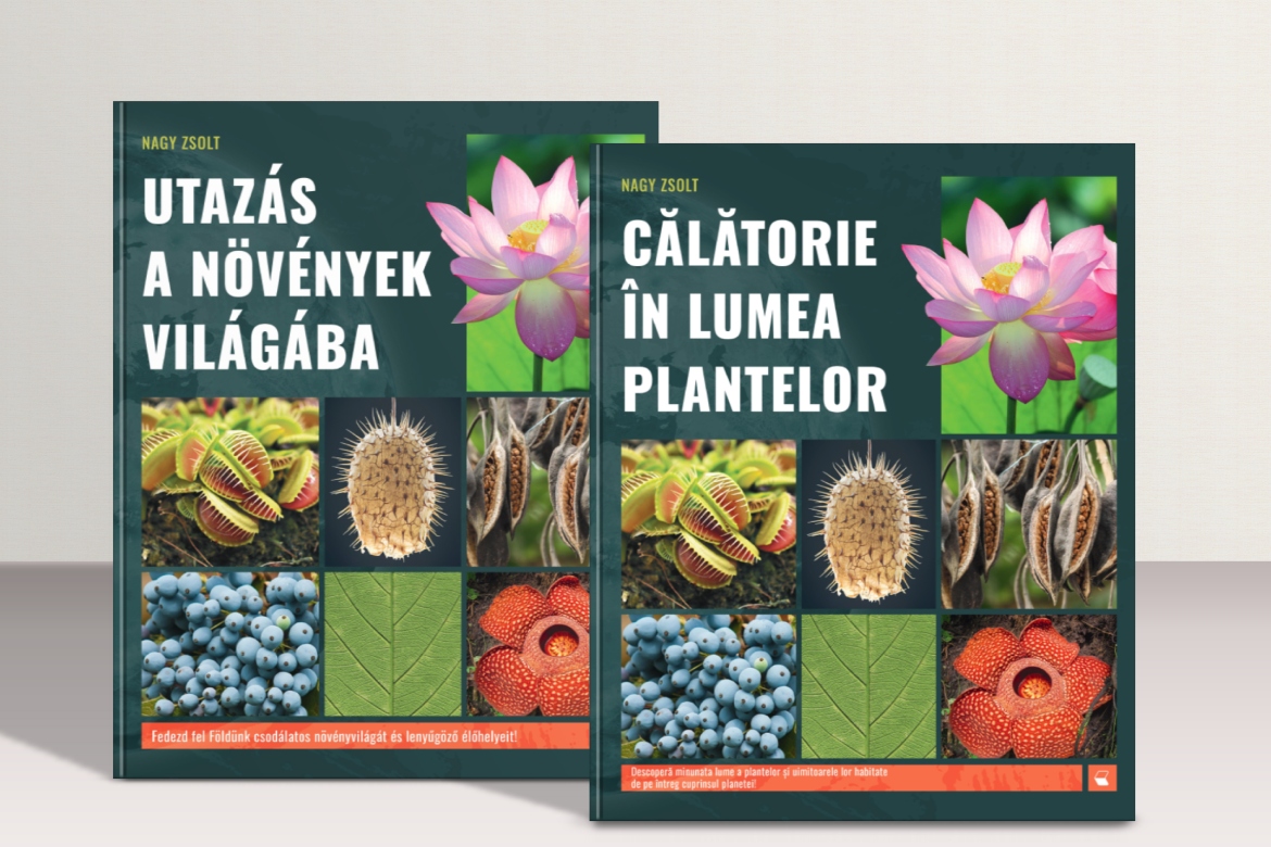 Ismeretterjesztő kiadvány a növények és a kultúra szerteágazó kapcsolatáról