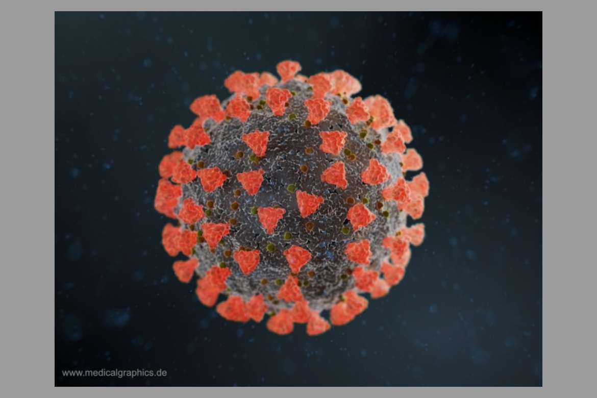 A koronavírus-járvány időszakának humorát vizsgáló nemzetközi kutatócsoport munkamegbeszélése